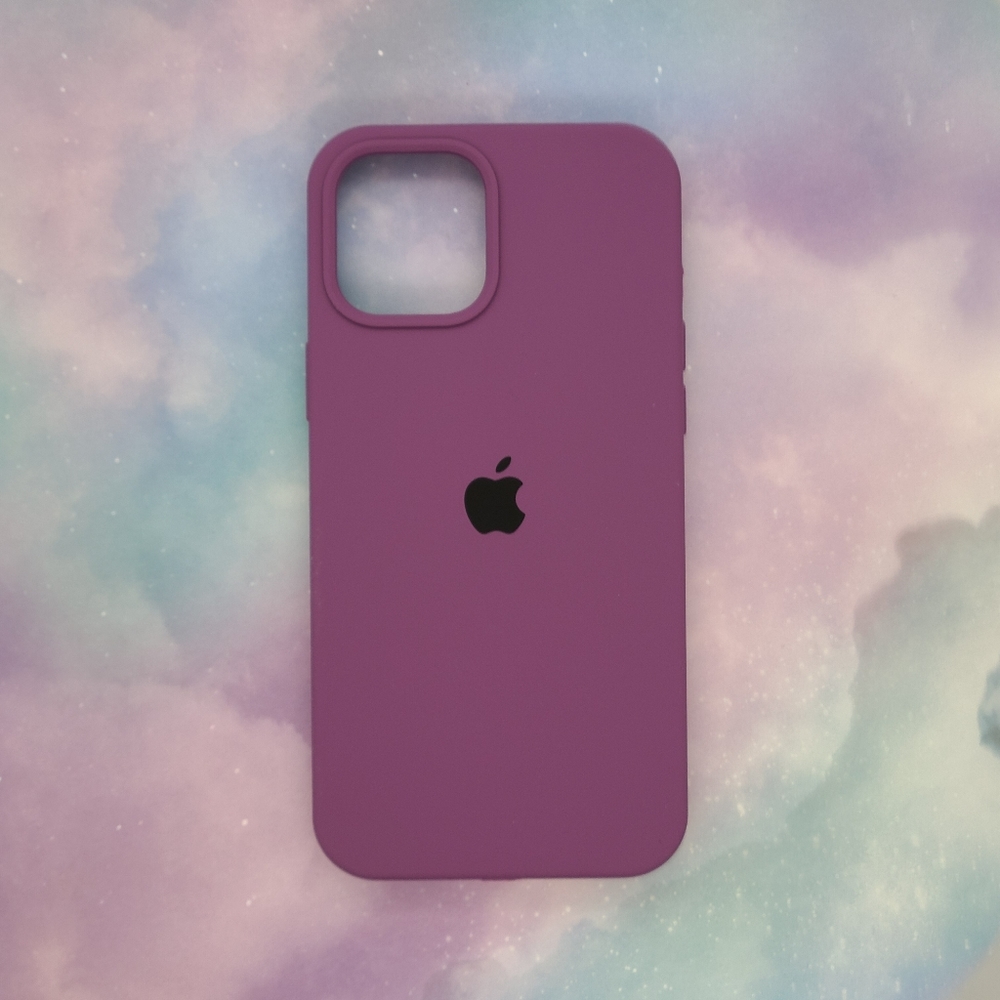 iPhone 12 Pro Max Case